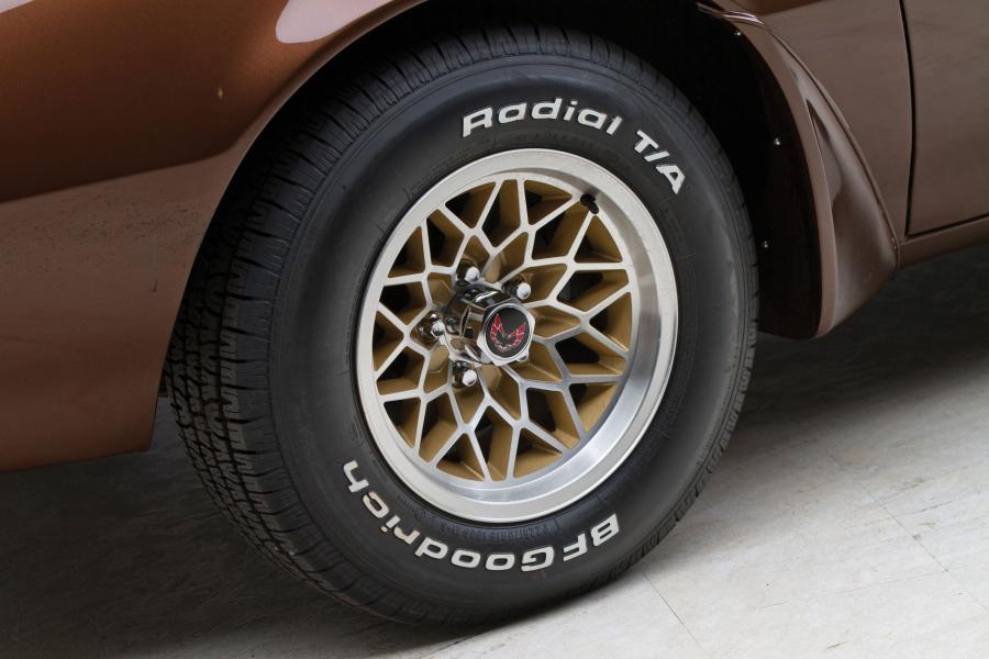  Pontiac Firebird Trans Am Coupe 1979 года  (фото 16 из 21)